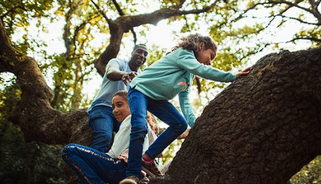 A family climbing a large tree
