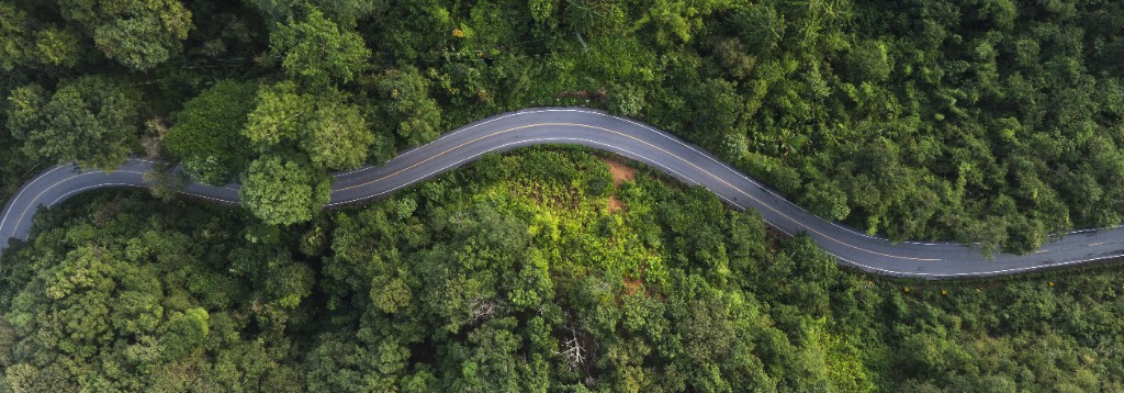A winding road through green forest, seen from above